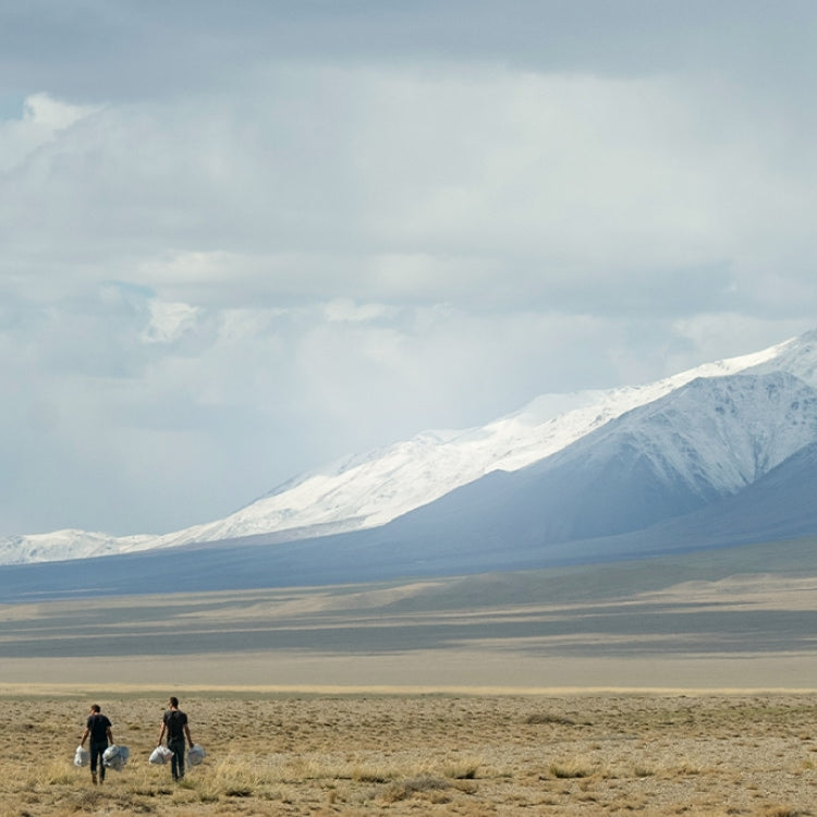 Mongolian landscape