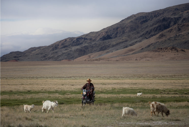 Mongolia landscape