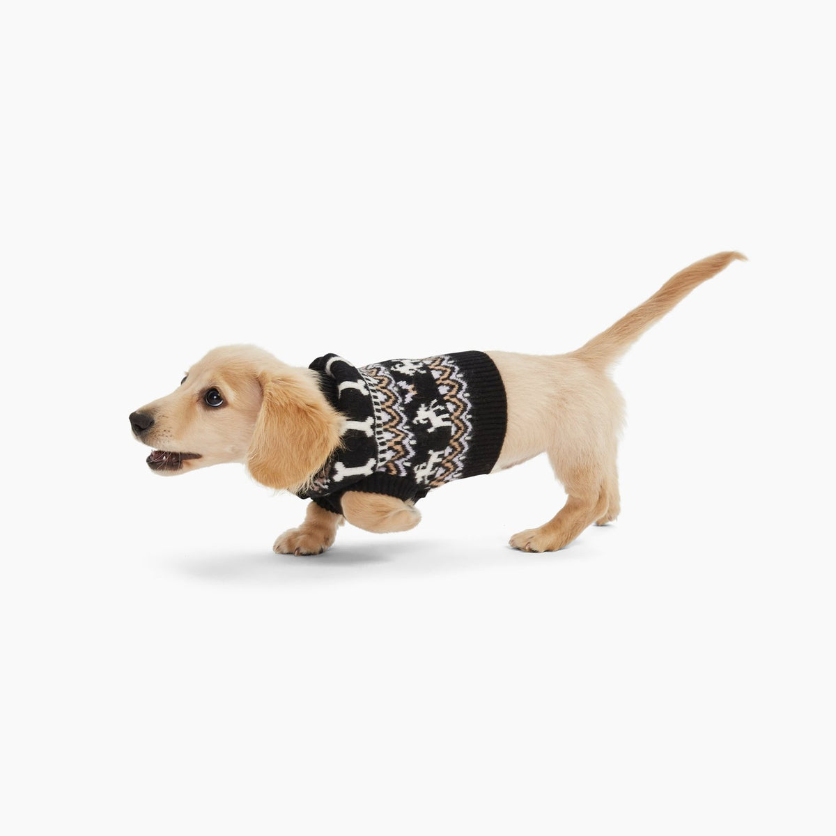 360 cashmere dog sweater clearance